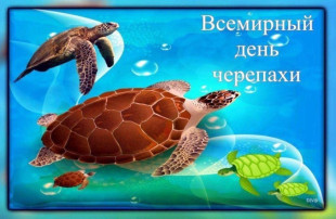 23 мая - Всемирный день черепахи 23 мая - Всемирный день черепахи .