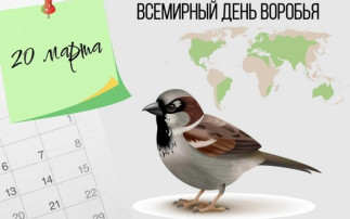 20 марта - Всемирный день воробья 20 марта - Всемирный день воробья.