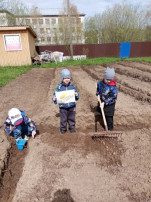 Наш "Экосад" Наш "Экосад".