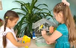 Наш "Экосад" Наш "Экосад".